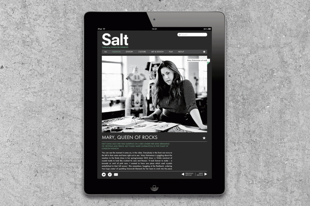 Salt-app2