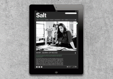 Salt-app2